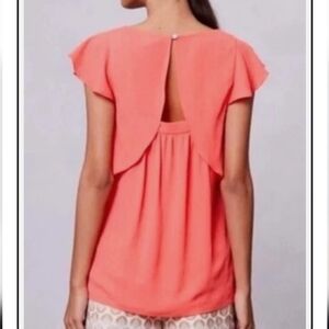 Anthropology top